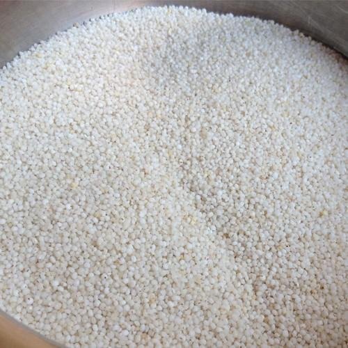 Kodo Millet, for Gluten Free, Variety : Sortex