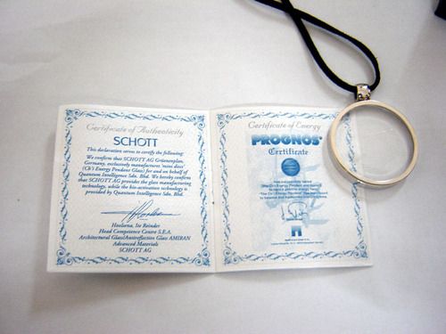 Bio Energy Scalar Pendant