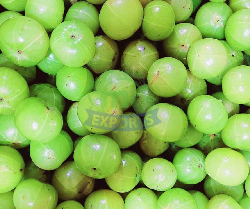 Fresh Gooseberry, Certification FSSAI Certified at best price in Navi