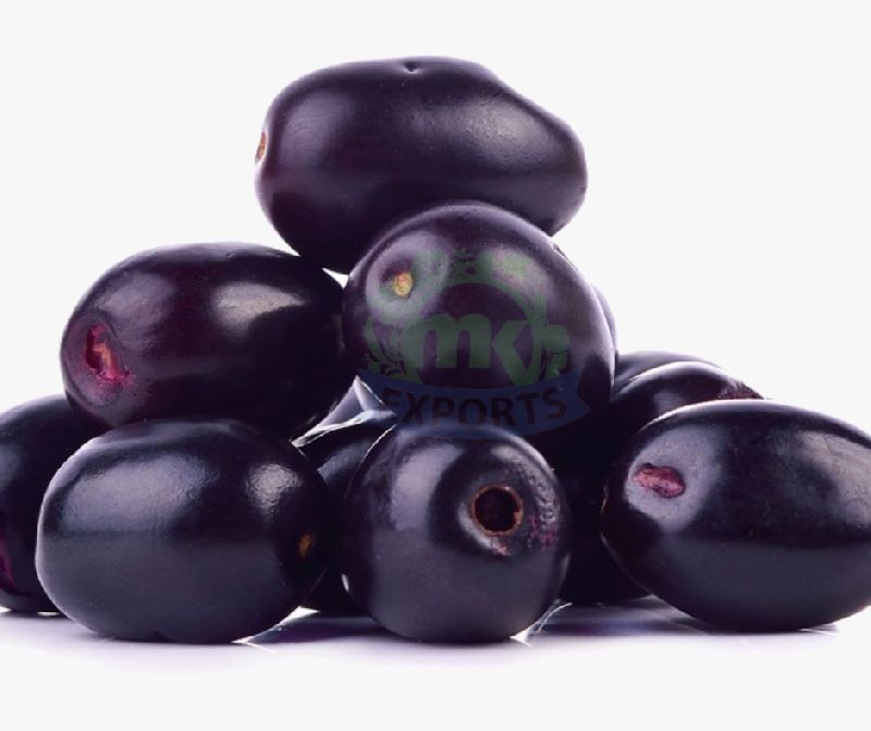 Fresh Java Plum by M. K. Exports from Navi Mumbai Maharashtra ID