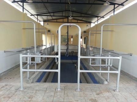 Milking Parlor