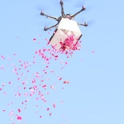 Phoenix Flower Dropping Drone, Model Name/Number : S550S