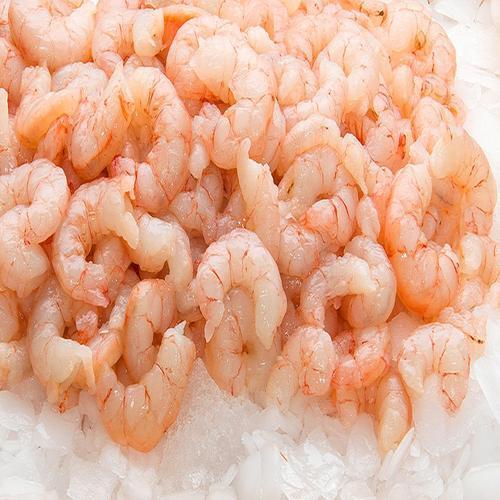 Frozen Prawn - PDTO 13/15, Packaging Type : Vaccum Packed