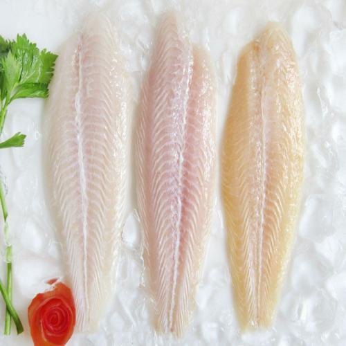 Frozen Vietnamese Basa Fish Fillet