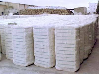 Organic Cotton Bales
