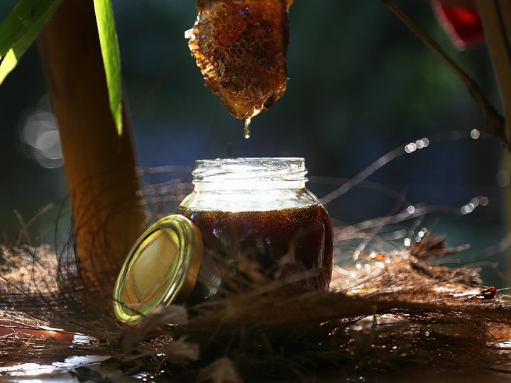Mountway Expo Wild Forest Honey, for Foods, Medicines, Certification : FSSAI Certified