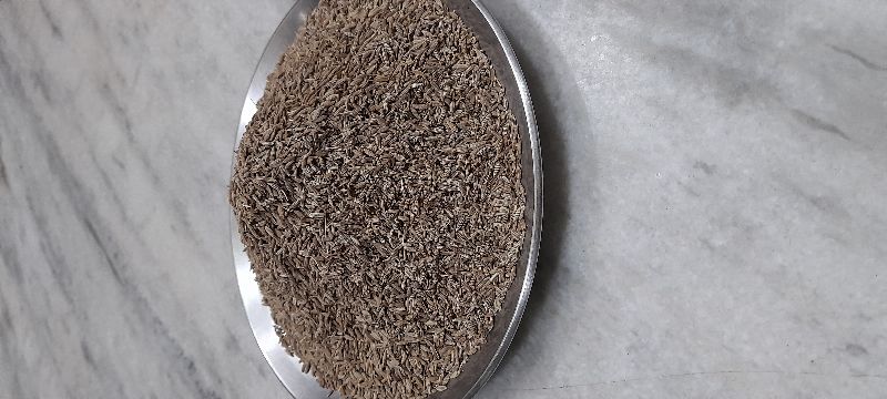 Cumin Seeds, Packaging Type : PP Bag