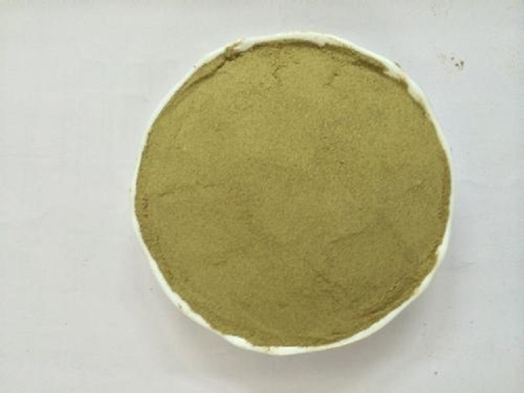 Preyank Solar Common Coriander Leaf powder, for Cooking Use, Packaging Size : 10KG