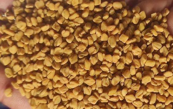 fenugreek seeds