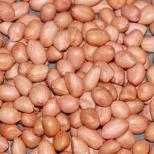 Groundnut Kernels