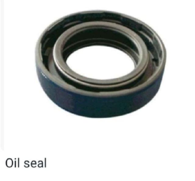 Oil Seal
