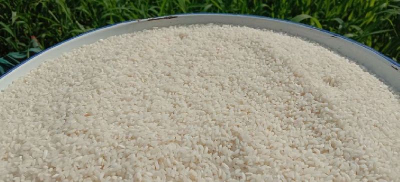 Organic Scented Rice, Color : White