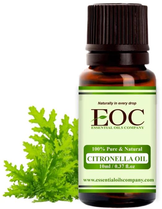 java citronella oil