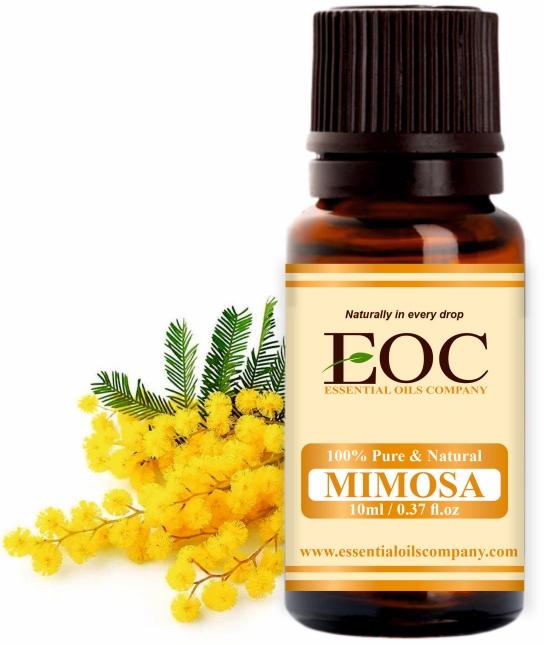 Mimosa Absolute