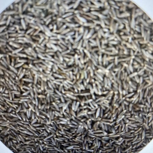 Patrani cumin seed, Packaging Size : 30 kg