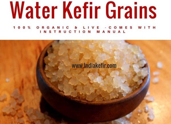 Organic Water Kefir Grains, for Household