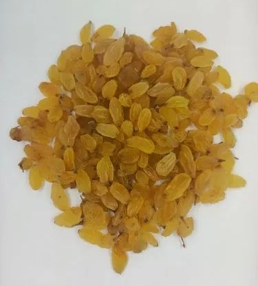 Dried Yellow Raisins