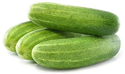 High Breed Cucumber