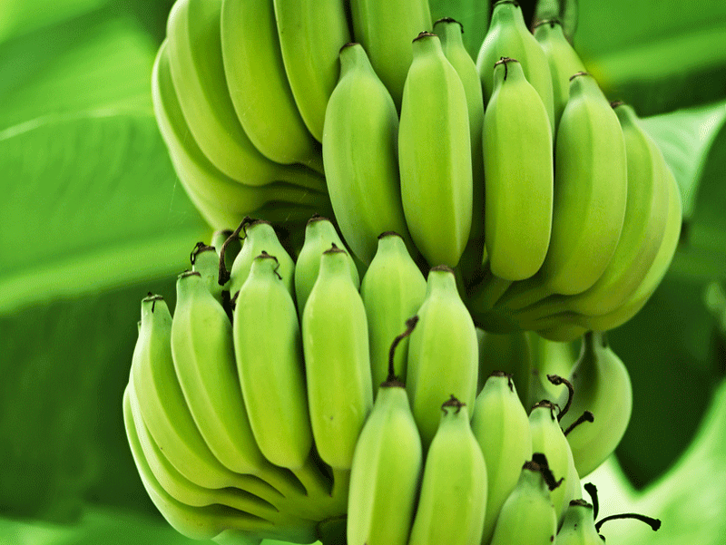 raw banana