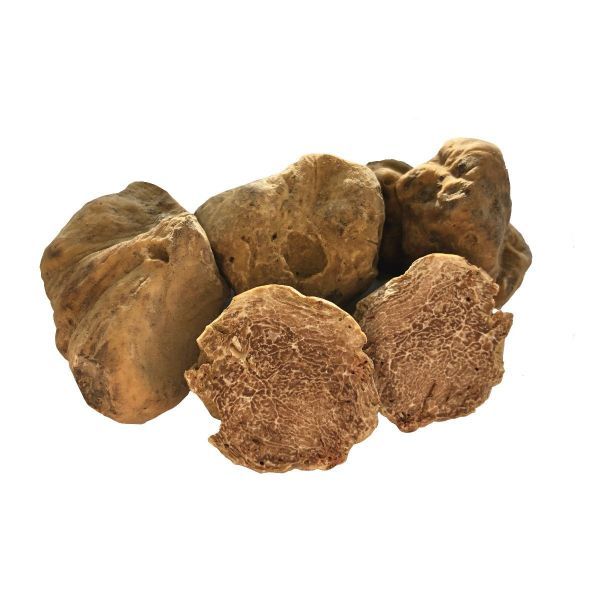 Truffles at best price INR 150INR 200 / kg in Prakasam Andhra Pradesh
