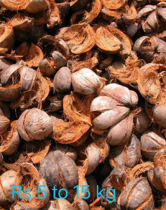 Coconut Shell Waste
