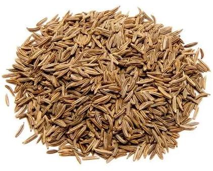 Natural Caraway Seeds, for Cooking, Certification : FSSAI Certified