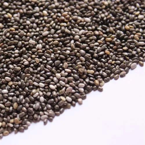 Common chia seeds, Style : Dried