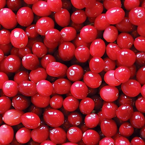 Common Fresh Cranberry, Taste : Sour, Sweet