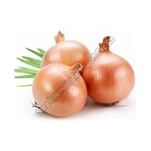 Natural Fresh Yellow Onion, for Cooking, Human Consumption, Feature : Hygienically Packed