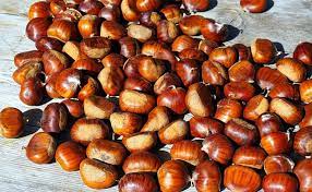 Common Natrual chestnuts, for Cooking, Taste : Sweet
