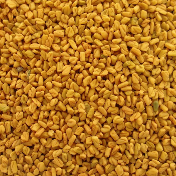 Raw Organic fenugreek seed, for Cosmetics, Food Medicine, Variety : Garam Masala