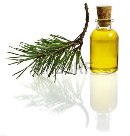 Pine oil, Shelf Life : 1year