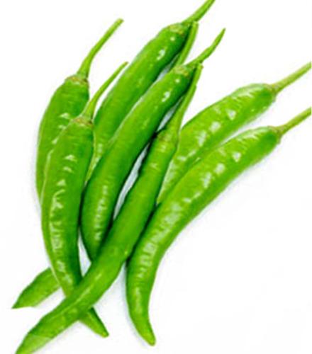 Fresh Green Chilli, Length : 14~15 Cm