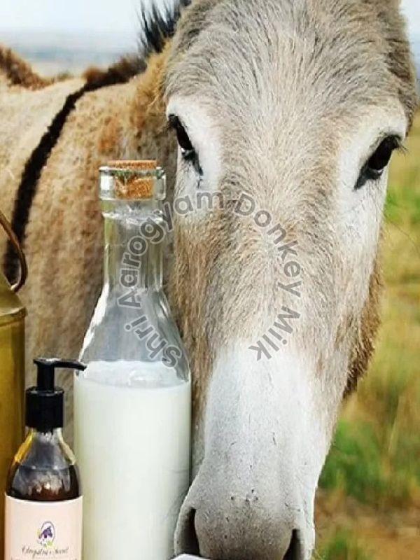 Donkey milk, for Medicine Use, Certification : FSSAI Certified