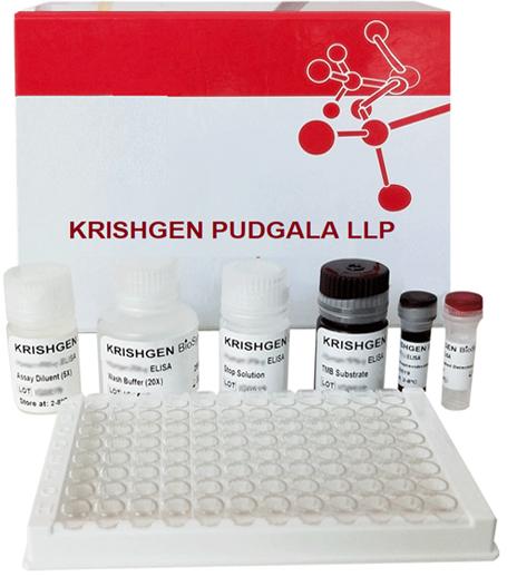Testosterone genlisa elisa kit, for Lab Use