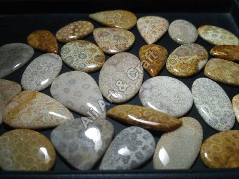Coral fossil Cabochons, Packaging Type : Plastic Packet, Plastic Box