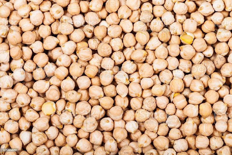 Organic White Chickpeas, for Cooking, Spices, Form : Solid