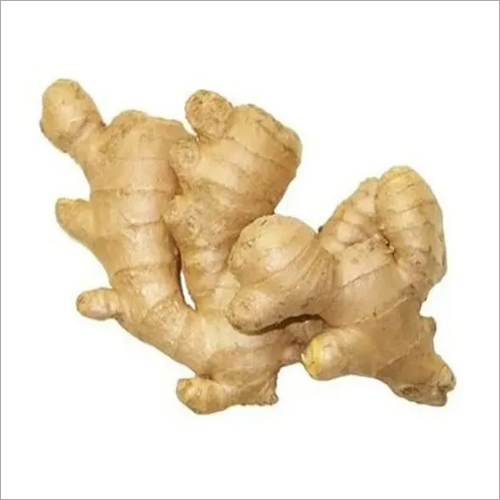 Fresh Ginger, Packaging Size : 5 kg