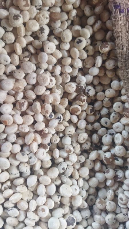 White Polished Nirmali Seeds, for Medicinal, Packaging Type : PP Packets