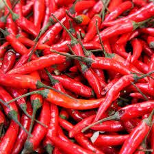 red chilli