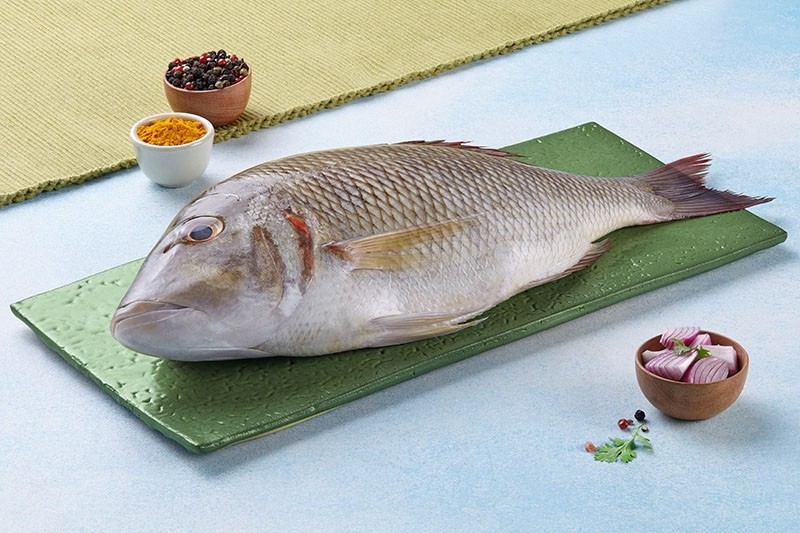 Fresh Sheri Fish, for Household, Mess, Restaurants, Packaging Type : Vacuum Pack