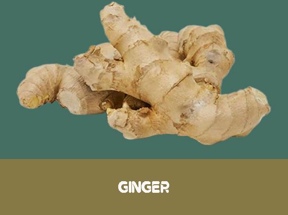 Natural Dried Ginger, for Food Medicine