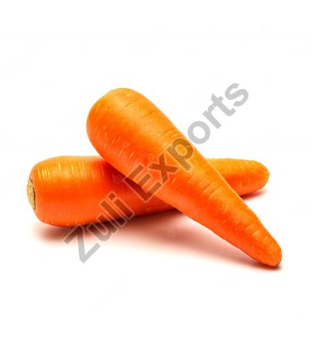 Organic Fresh Carrot, Style : Natural