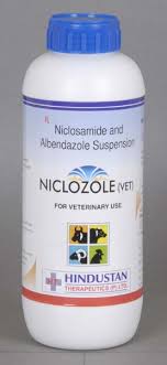 Niclozole tablet