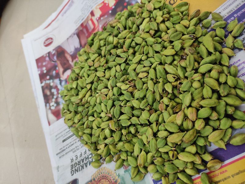 Raw Polished Common Green Cardamom, for Food Medicine, Spices, Cooking, Packaging Type : Plastic Packet