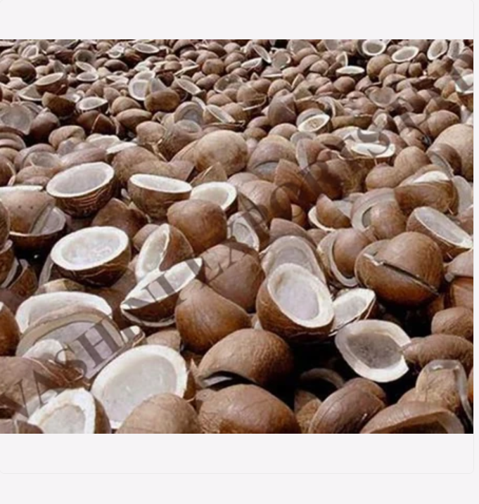 dried copra coconut, Brand OEM, INR 100INR 150 / Kilogram by Orange Chem Traders from Delhi