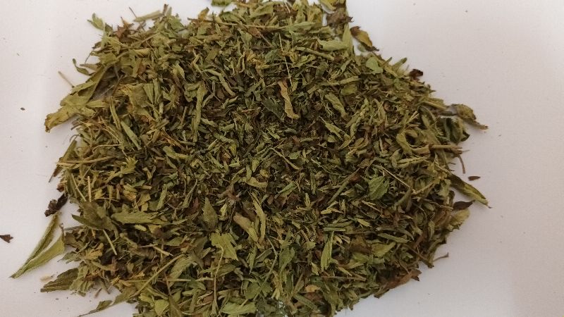 Green Organic Stevia Leaves