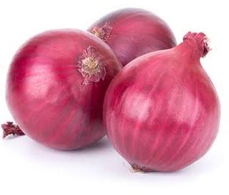 Organic fresh red onion, for Human Consumption, Style : Natural