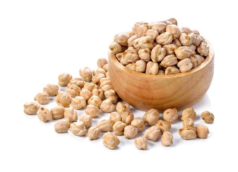 White Chickpea at best price in Rajkot Gujarat from Shree Ganesh ...