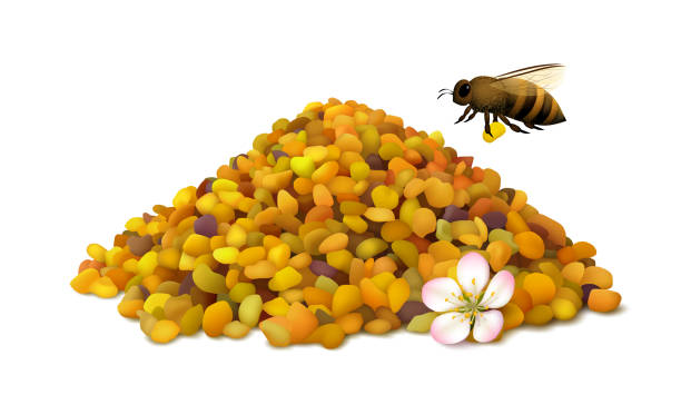 Bee Pollen Grains